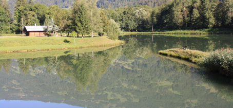 Etang de Marcôt